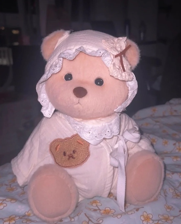 pink teddy bear dp 22