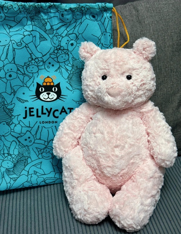 pink teddy bear dp 30