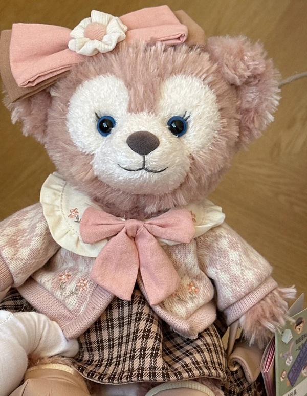 pink teddy bear dp 35
