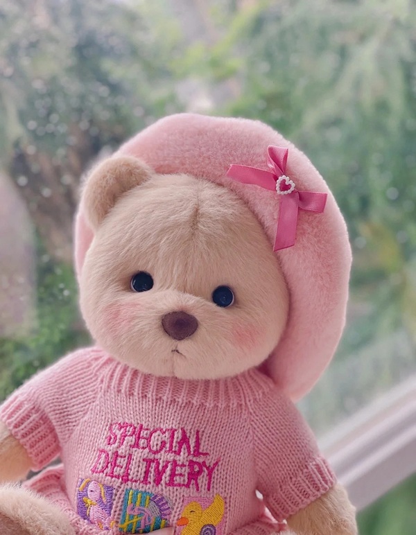 pink teddy bear dp