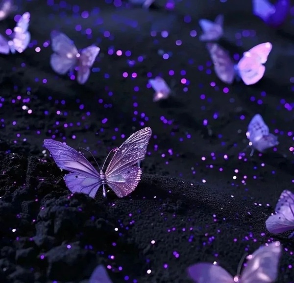 purple dp 16
