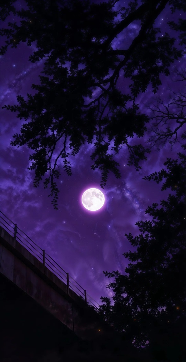 purple dp 36