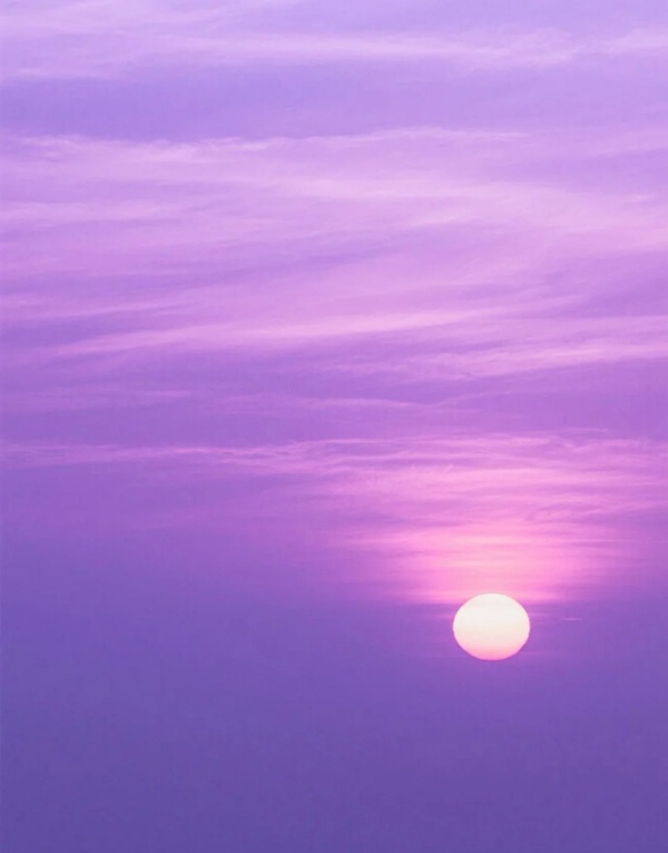 purple dp 39