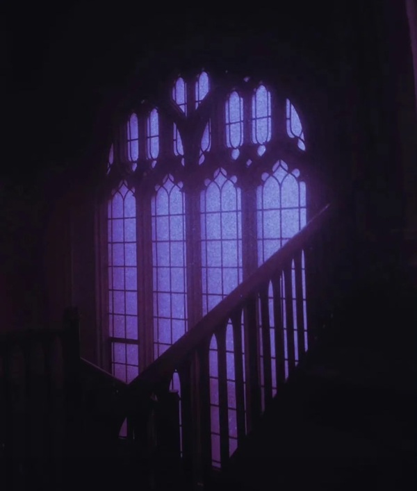 purple dp 