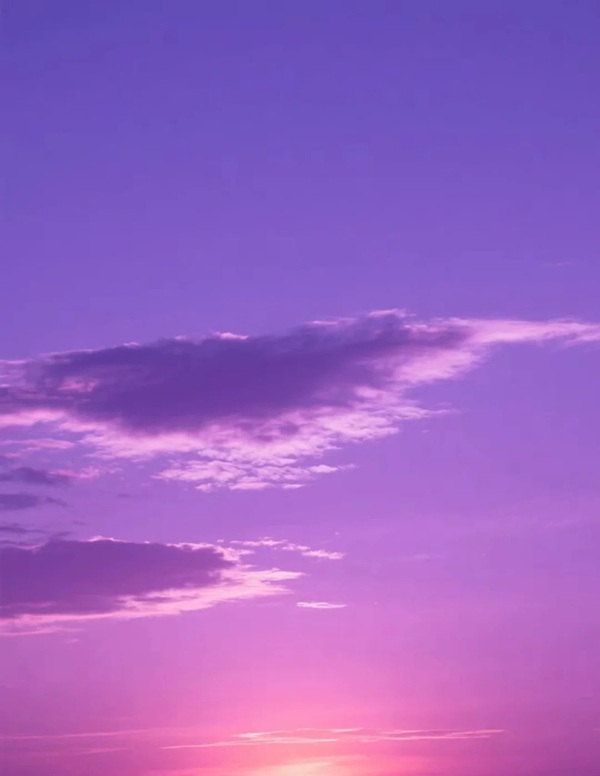 purple dp 14