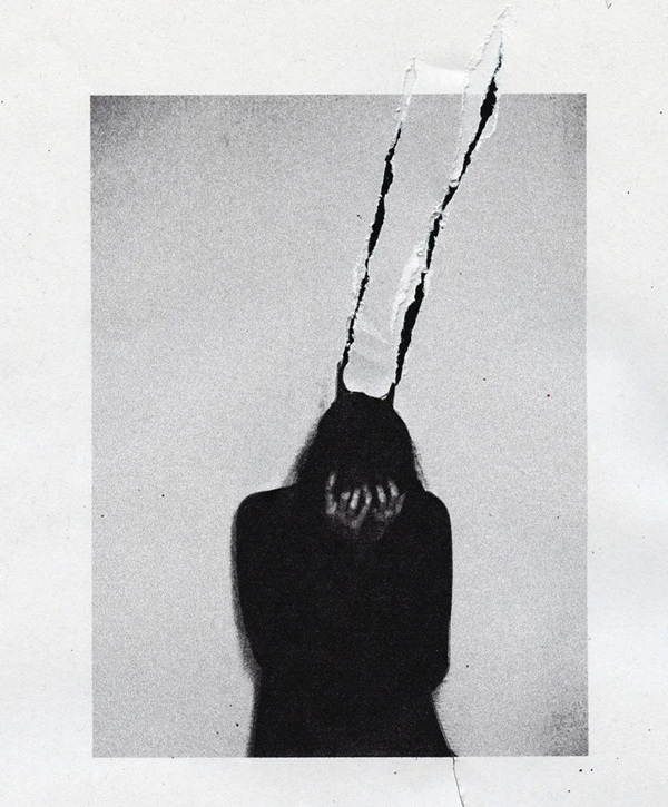 rone wala dp 21