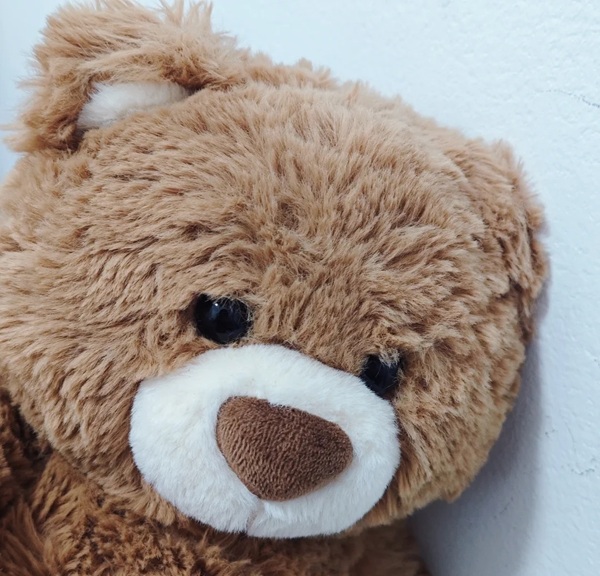 sad teddy bear dp