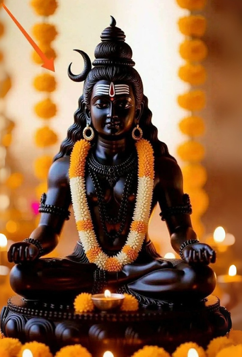 shiv dp hd 11