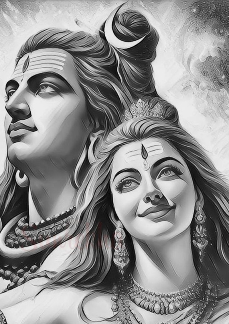 shiv dp hd 2