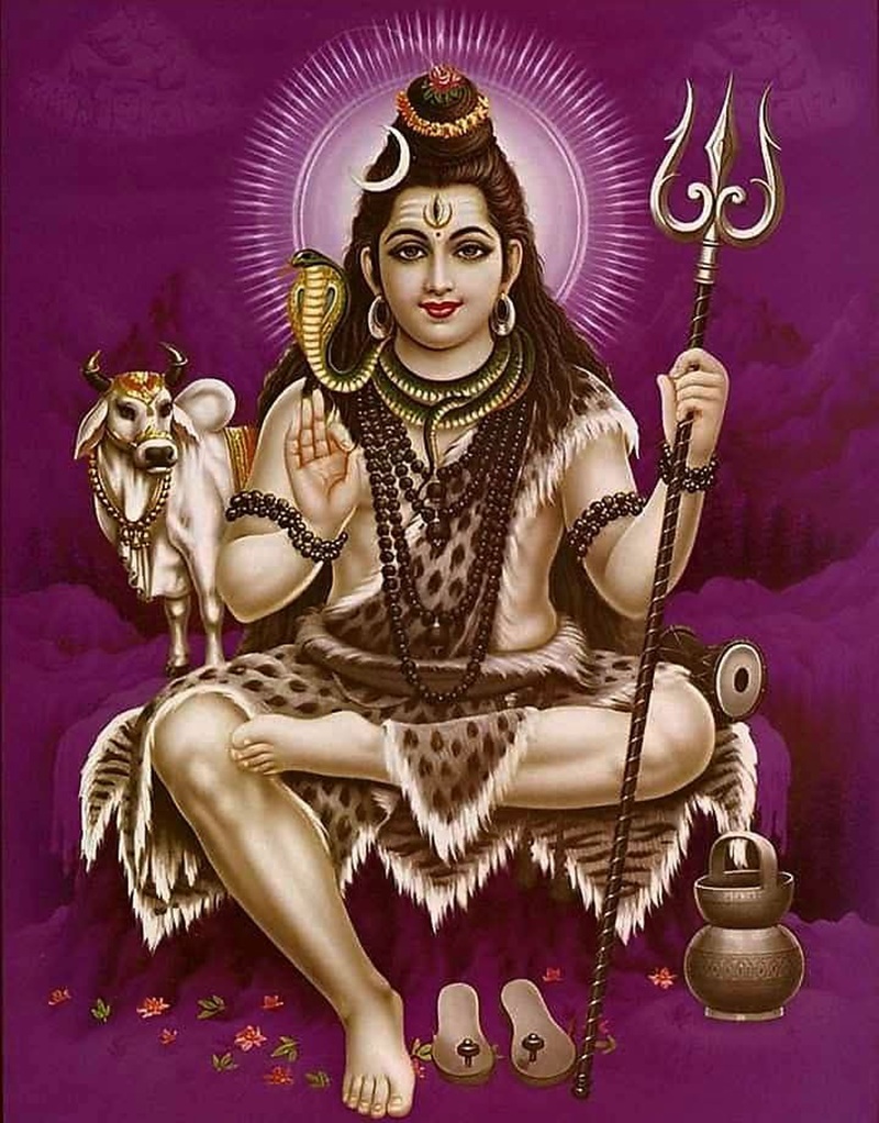 shiv dp hd 26
