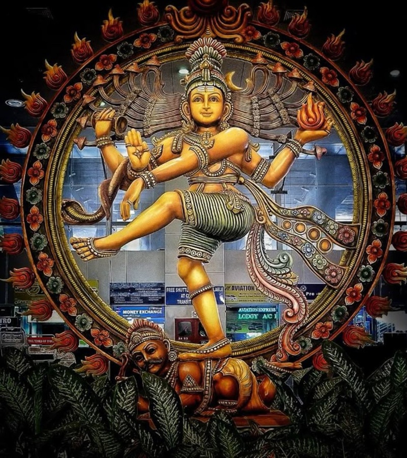 shiv dp hd 3