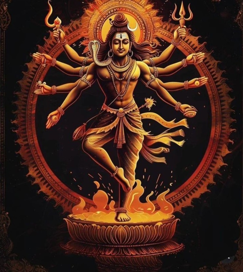 shiv dp hd 8