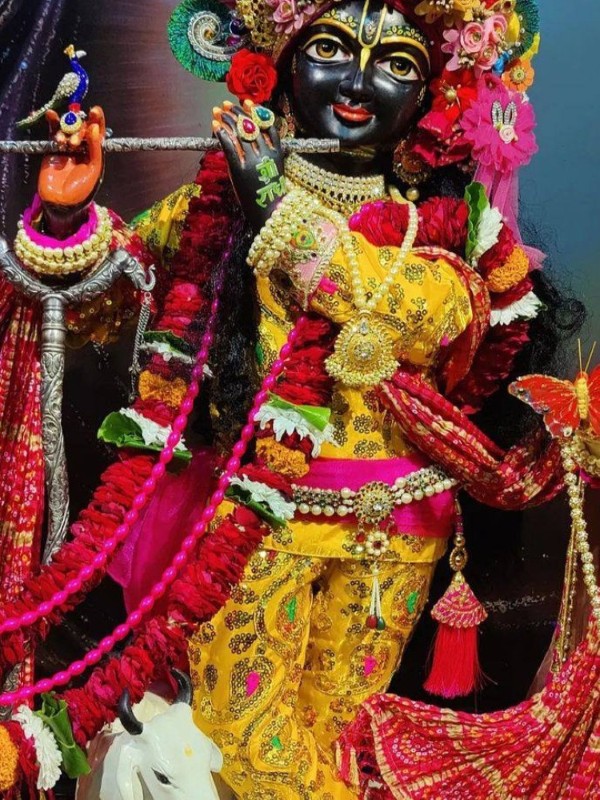shree krishna dp 278