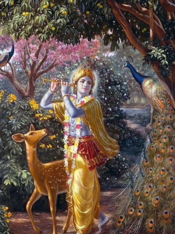shree krishna dp 32