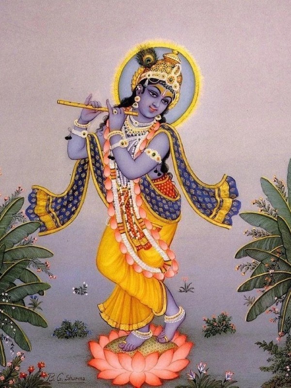 shree krishna dp 33