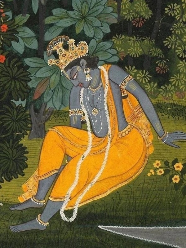 shree krishna dp 34