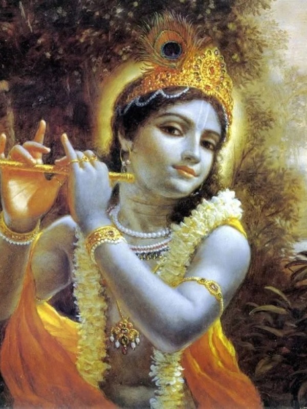 shree krishna dp 38