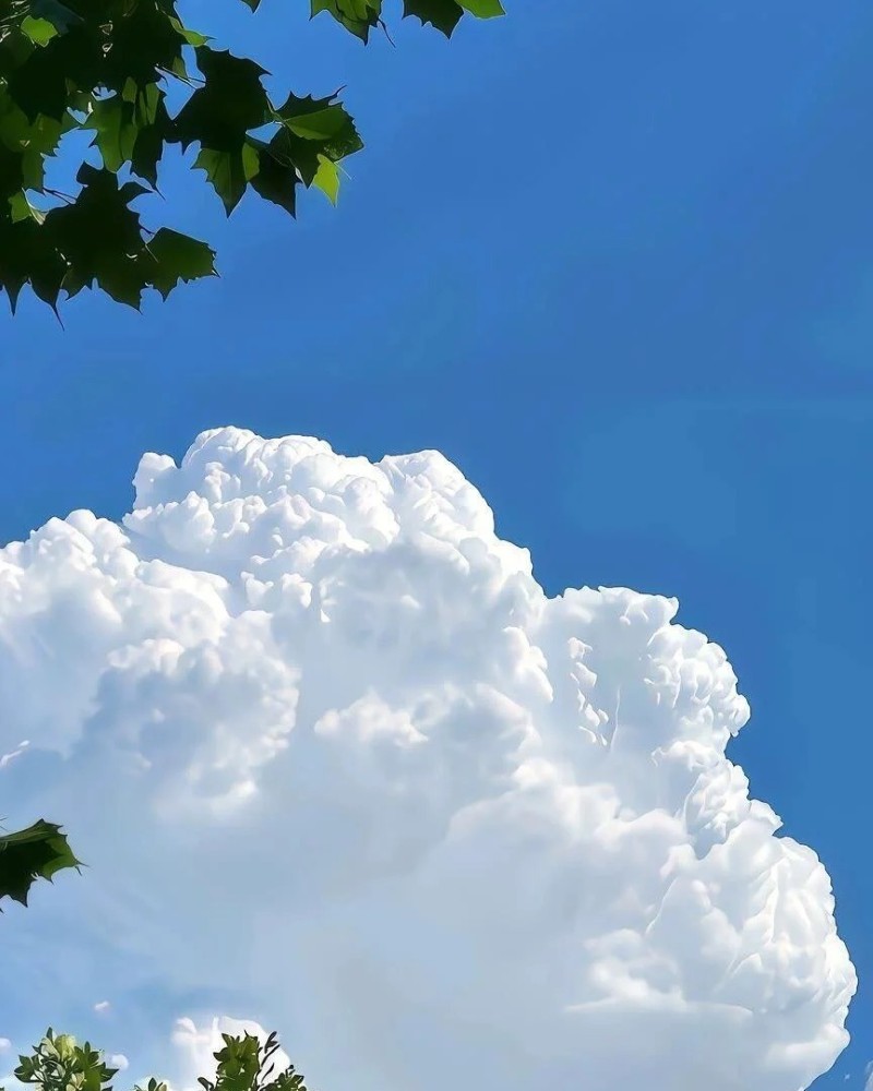 sky blue colour dp