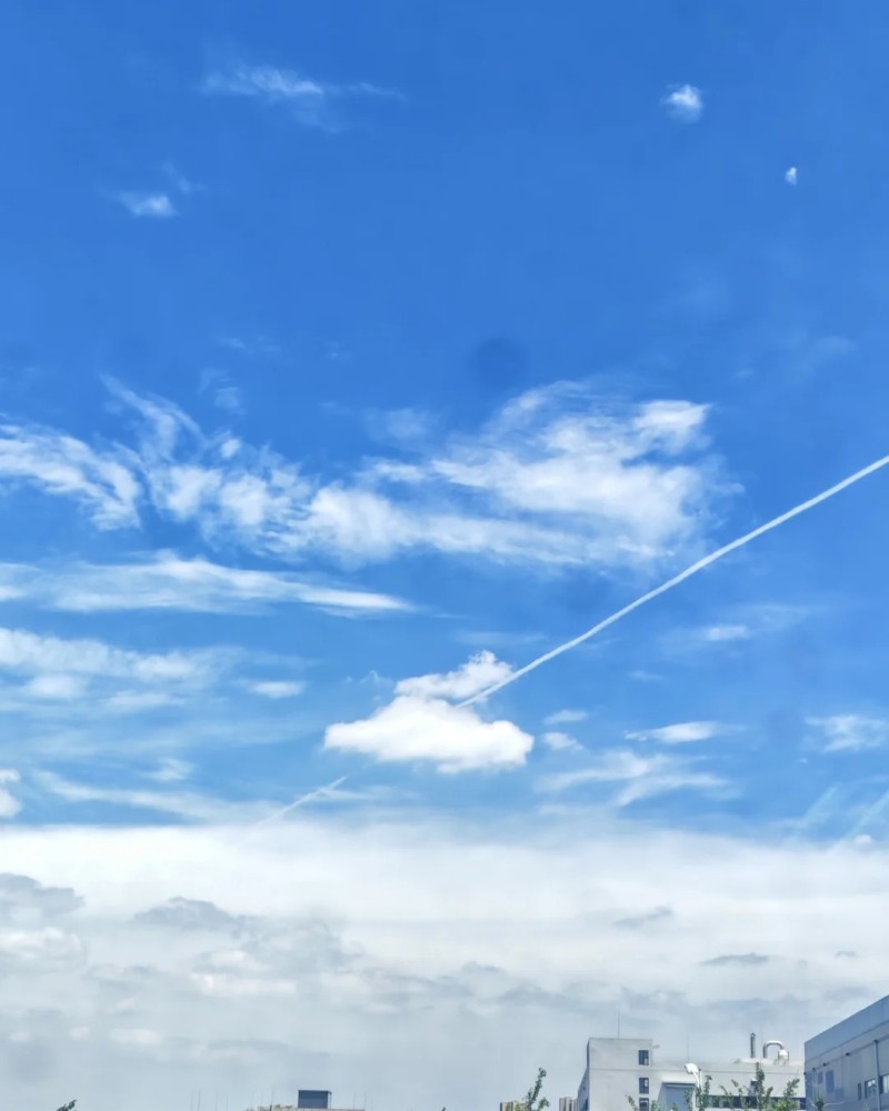 sky dp 10