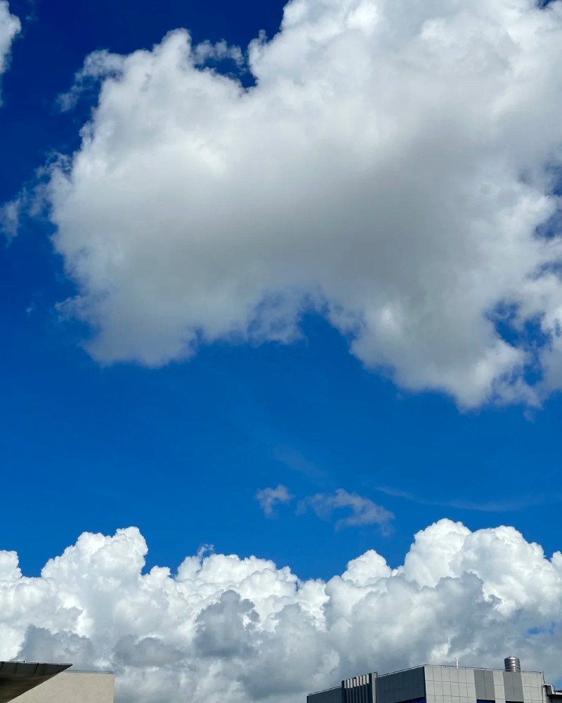 sky dp 14