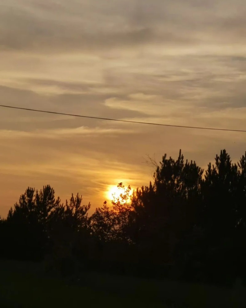 sky dp 16