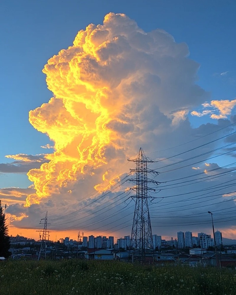 sky dp 19