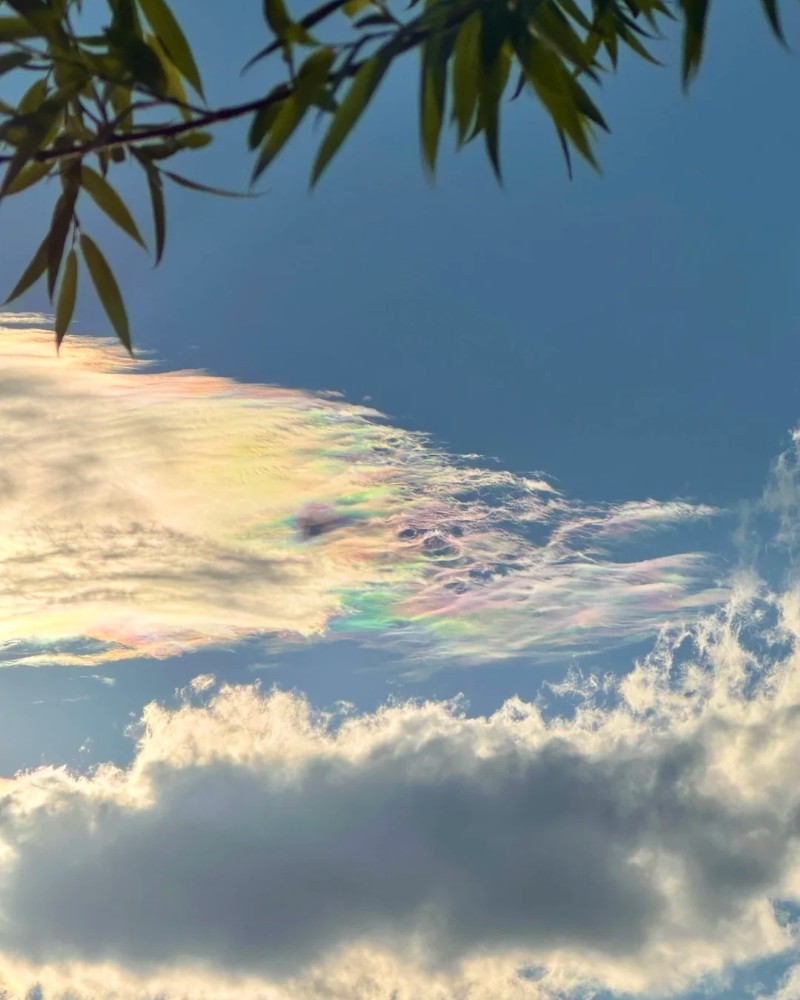 sky dp 21