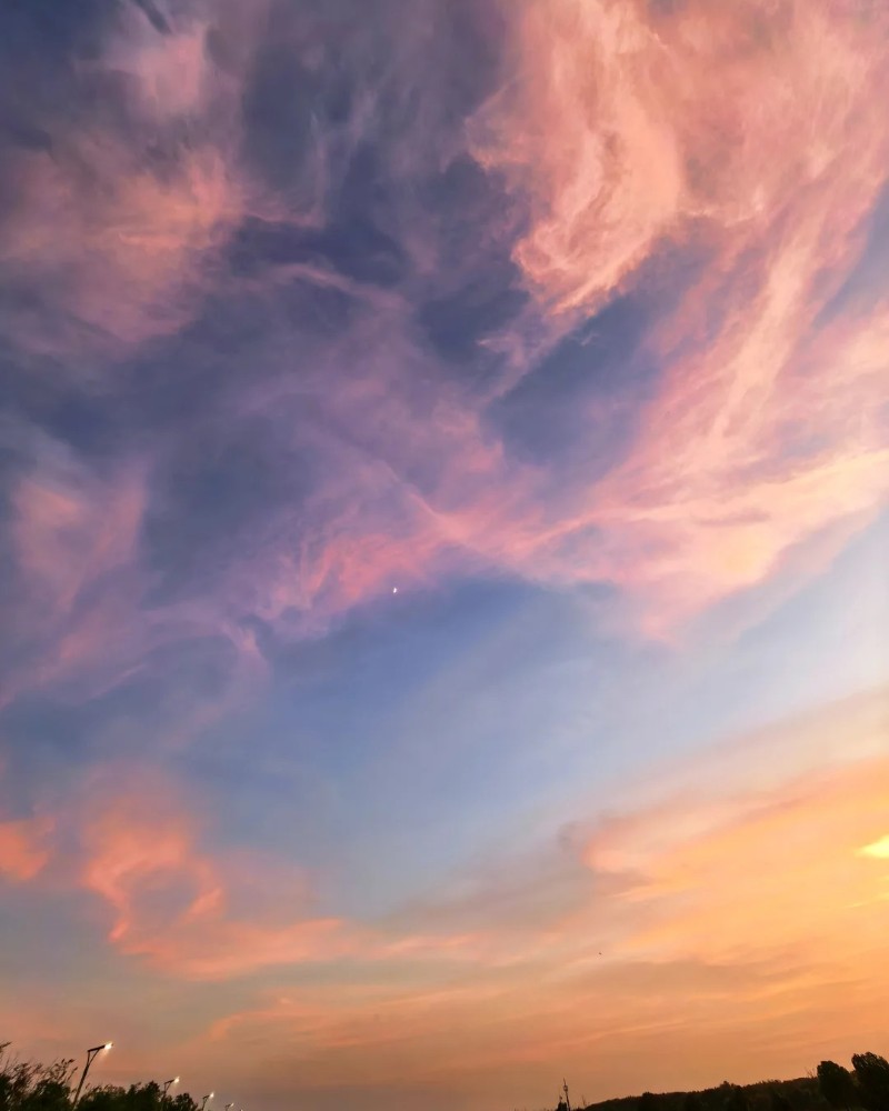 sky dp 28