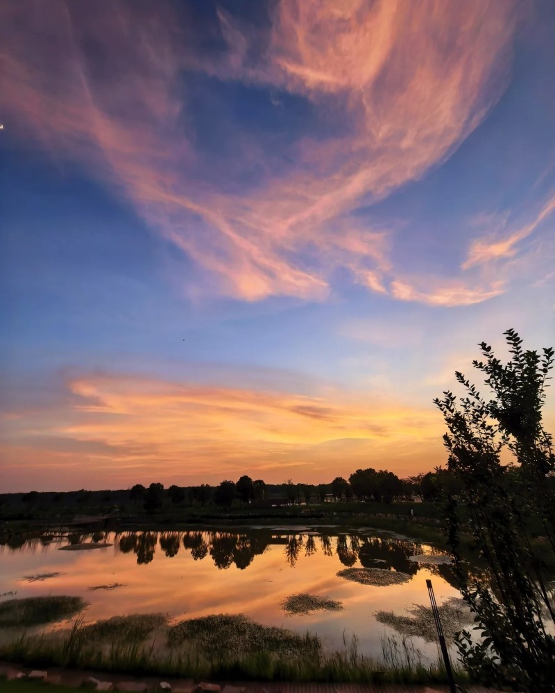 sky dp 29