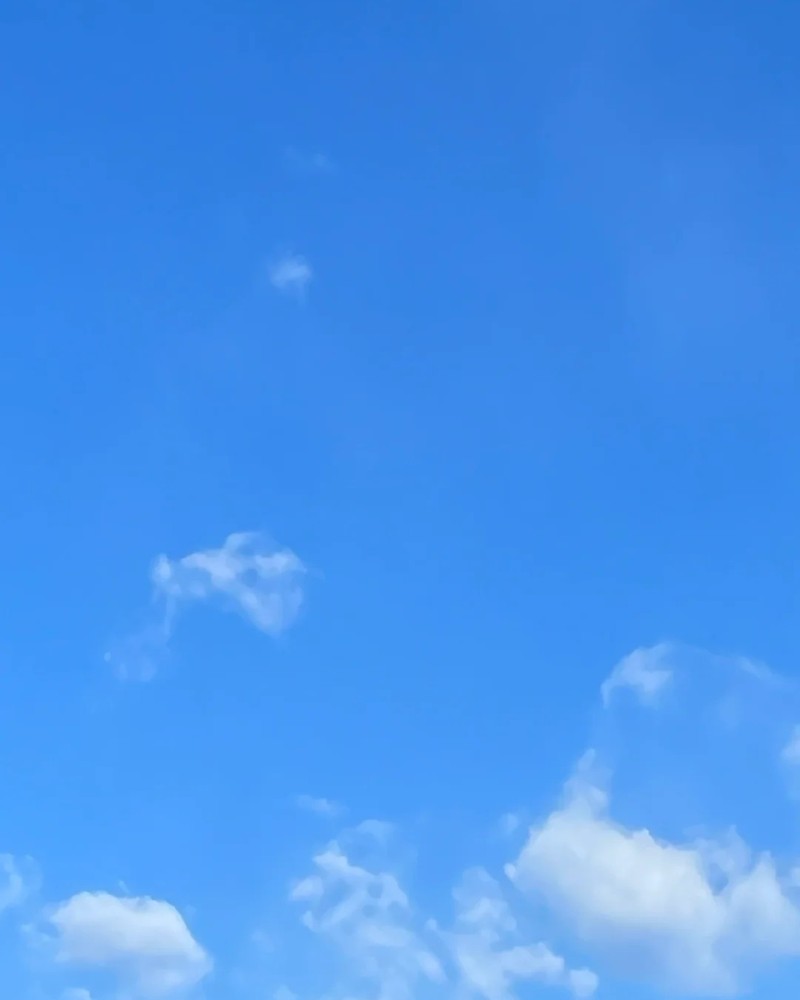 sky dp 33