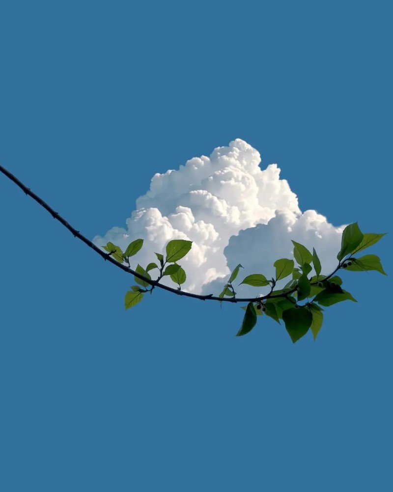 sky dp 36