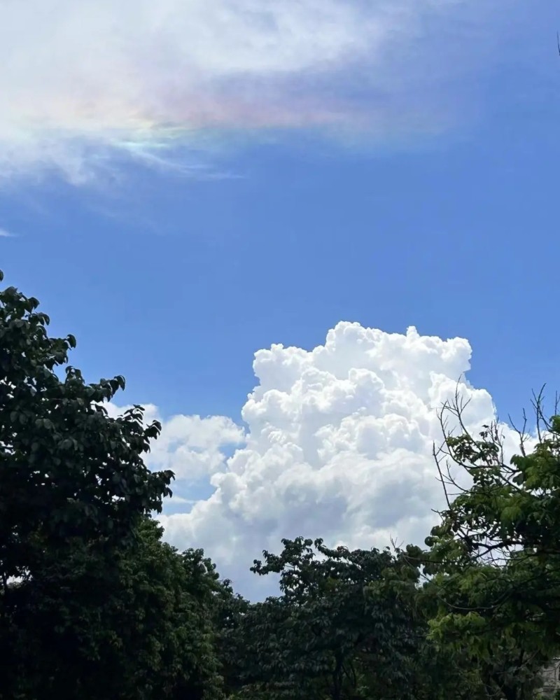 sky dp 38