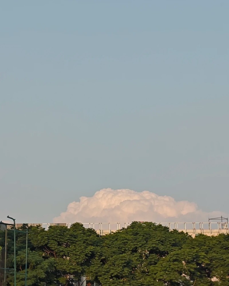 sky dp 6