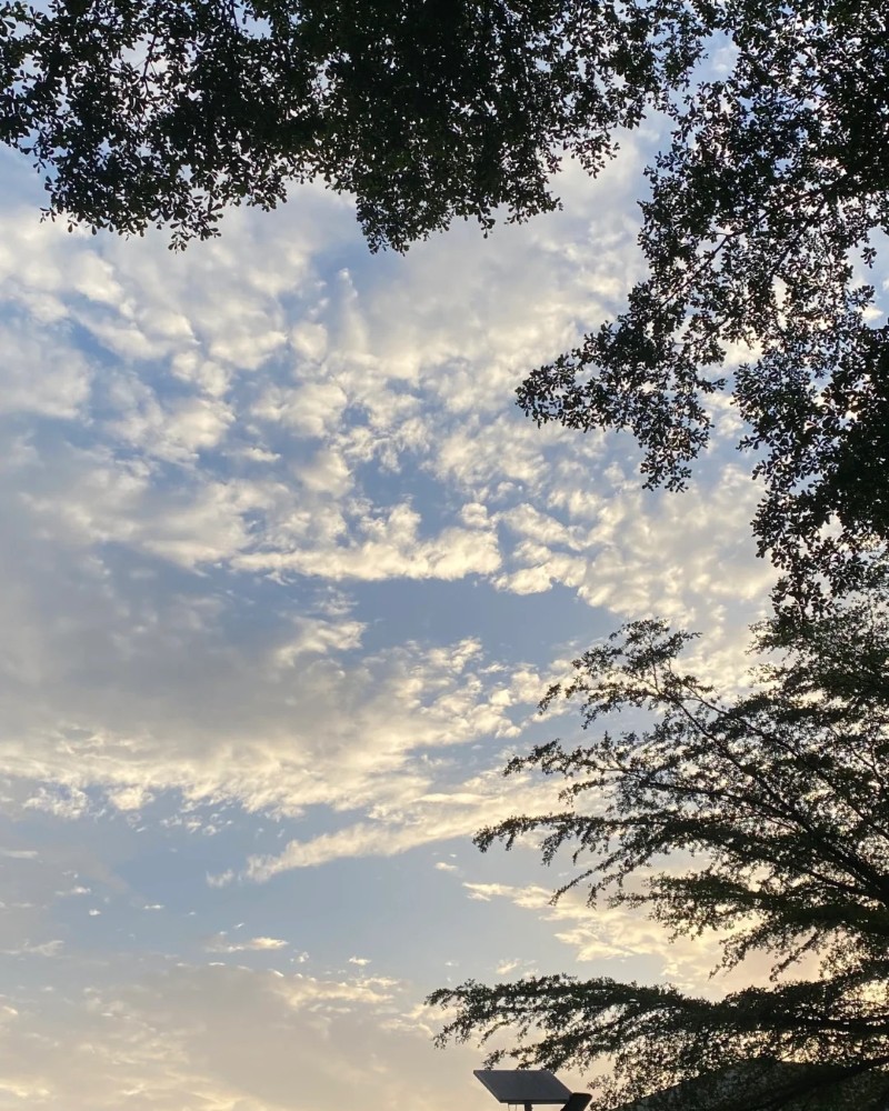 sky images dp​