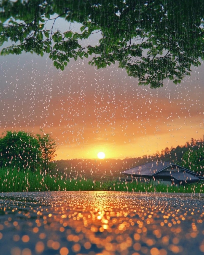 sky images for dp