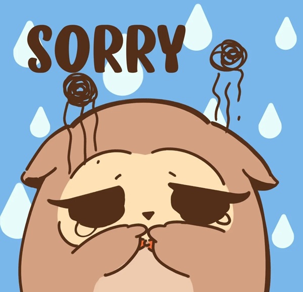 sorry dp 14