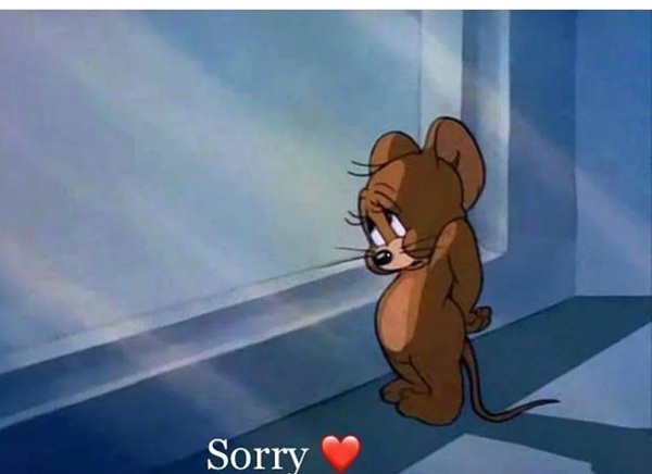 sorry dp 7