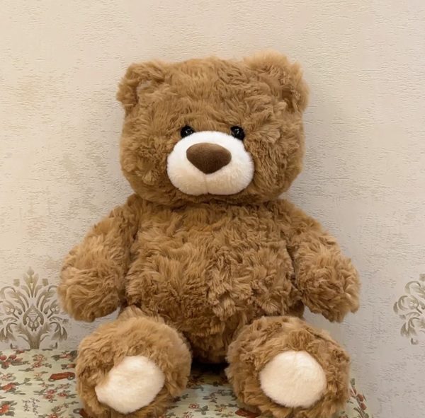 teddy dp
