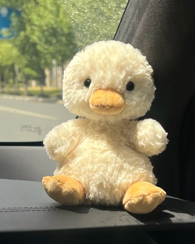cute duck 17