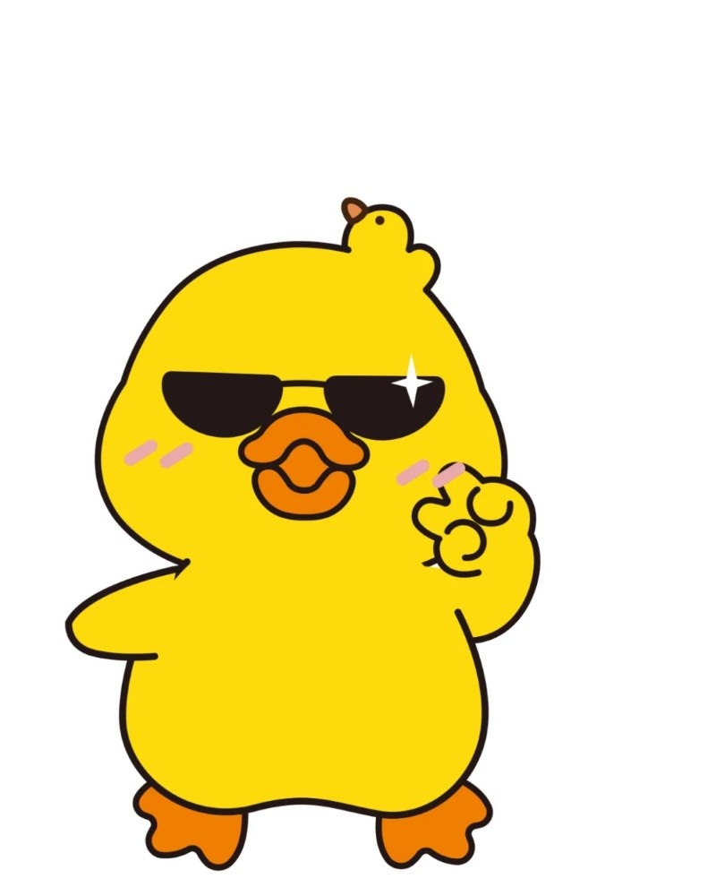 cute duck 18
