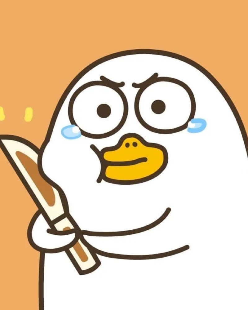cute duck 21