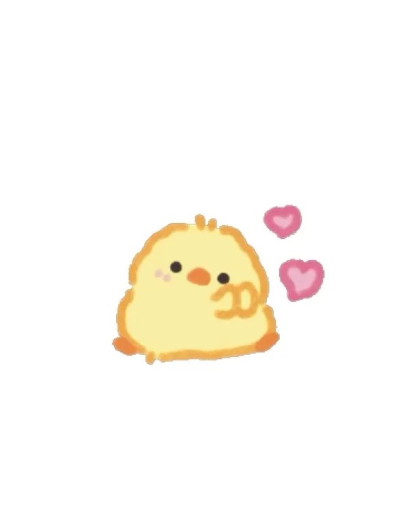 cute duck 27
