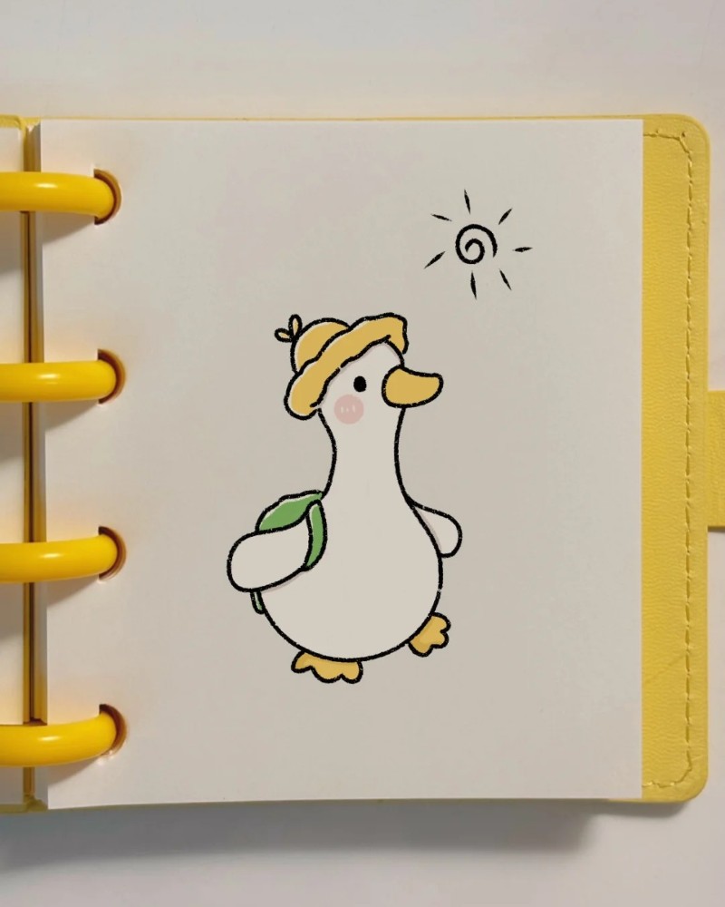 cute duck 30