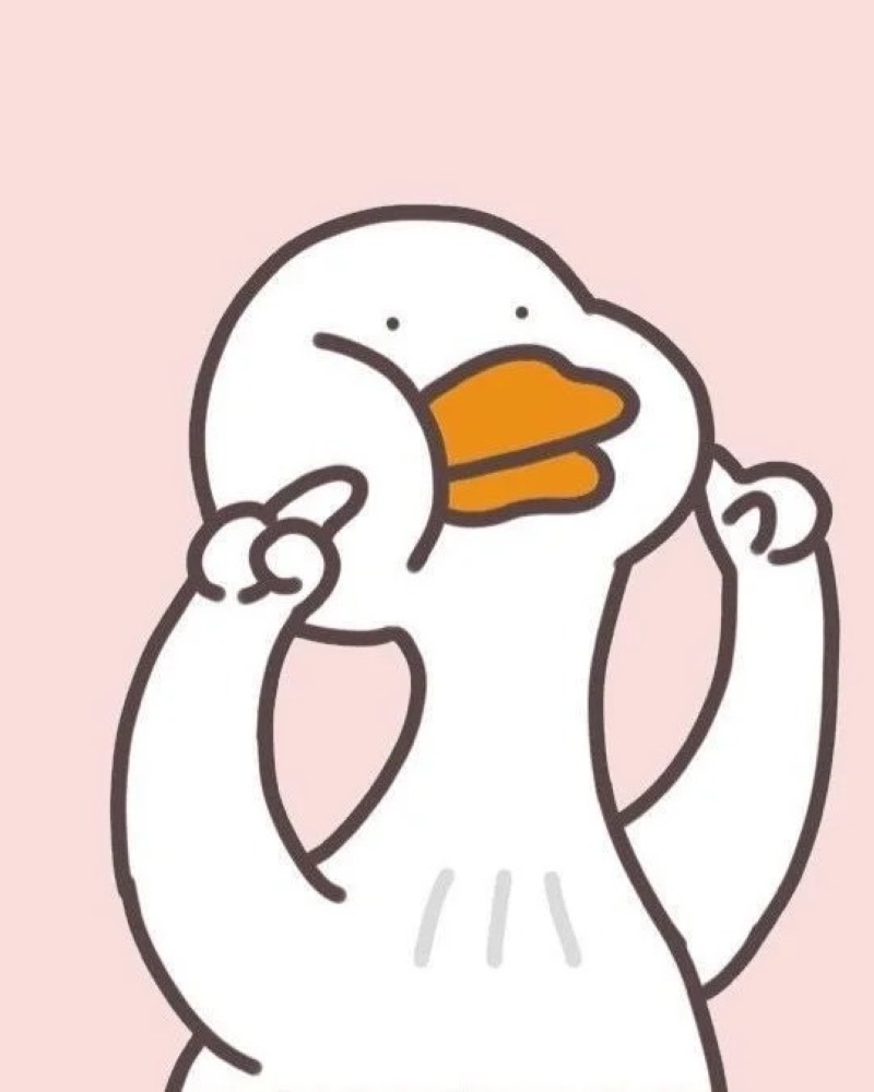 duck pictures cute