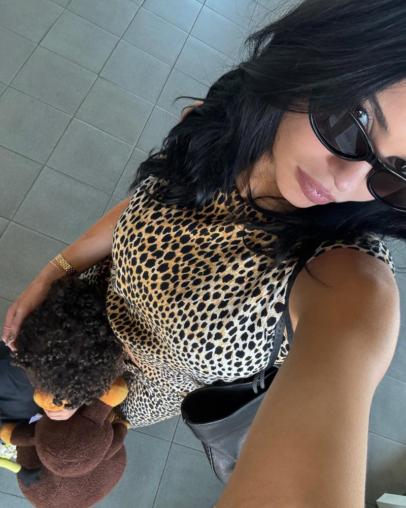 kylie jenner sexy pics 27