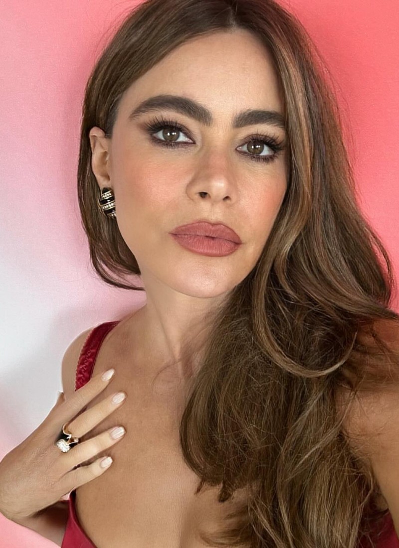 sofia vergara sexy pics 13