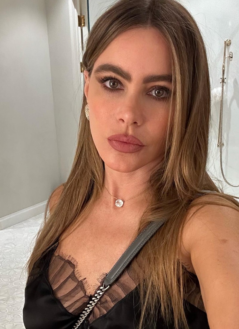 sofia vergara sexy pics 16