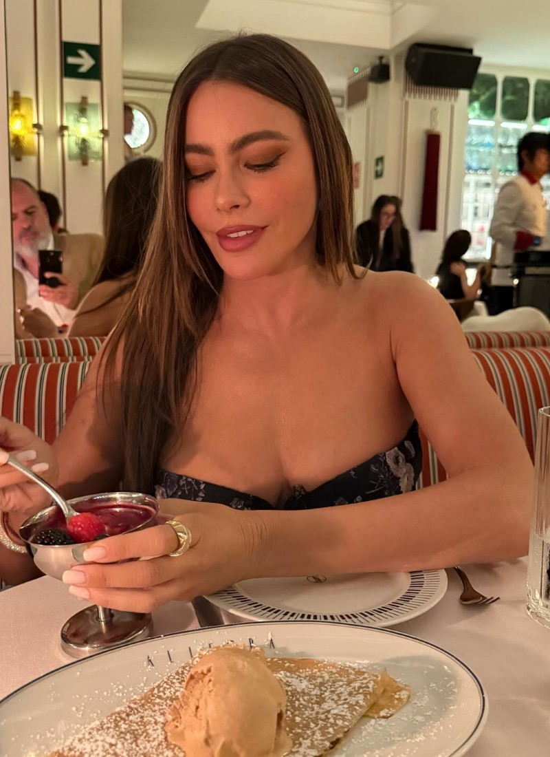 sofia vergara sexy pics 26