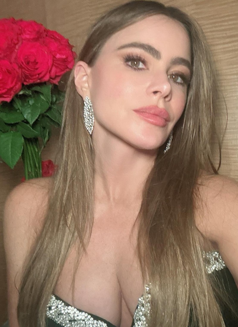 sofia vergara sexy pics 7